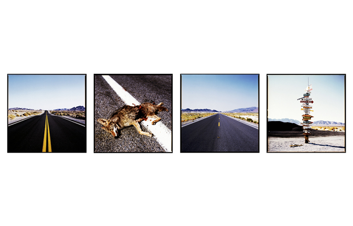 LE DESERT DE MOJAVE